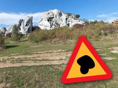 Jurajskie grzybobranie