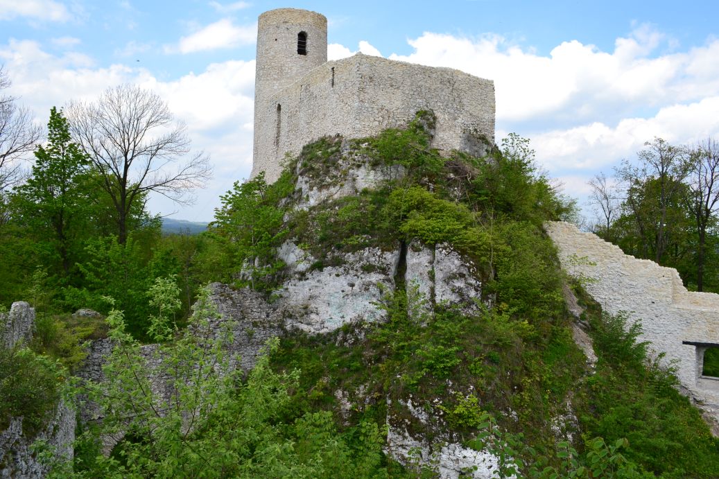 Zamek Pilcza w Smoleniu