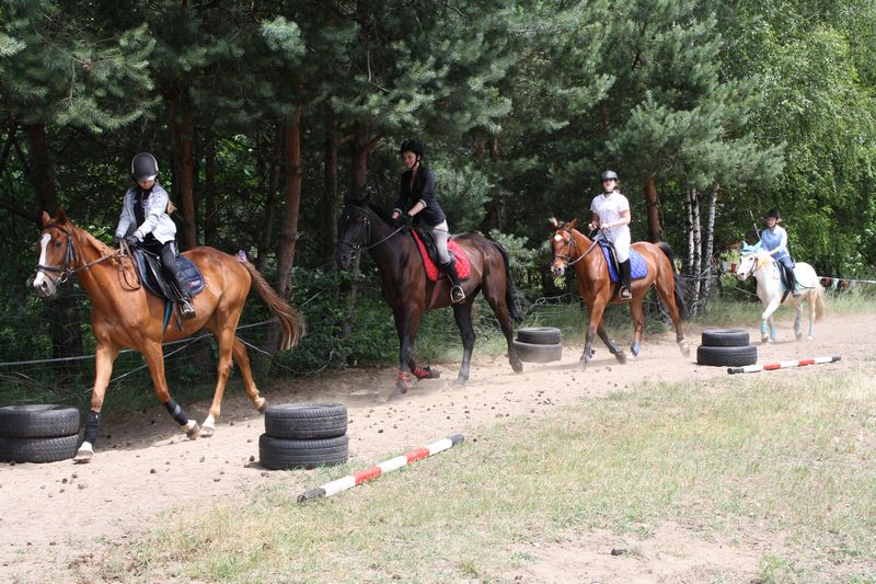 Stajnia Golden Horse