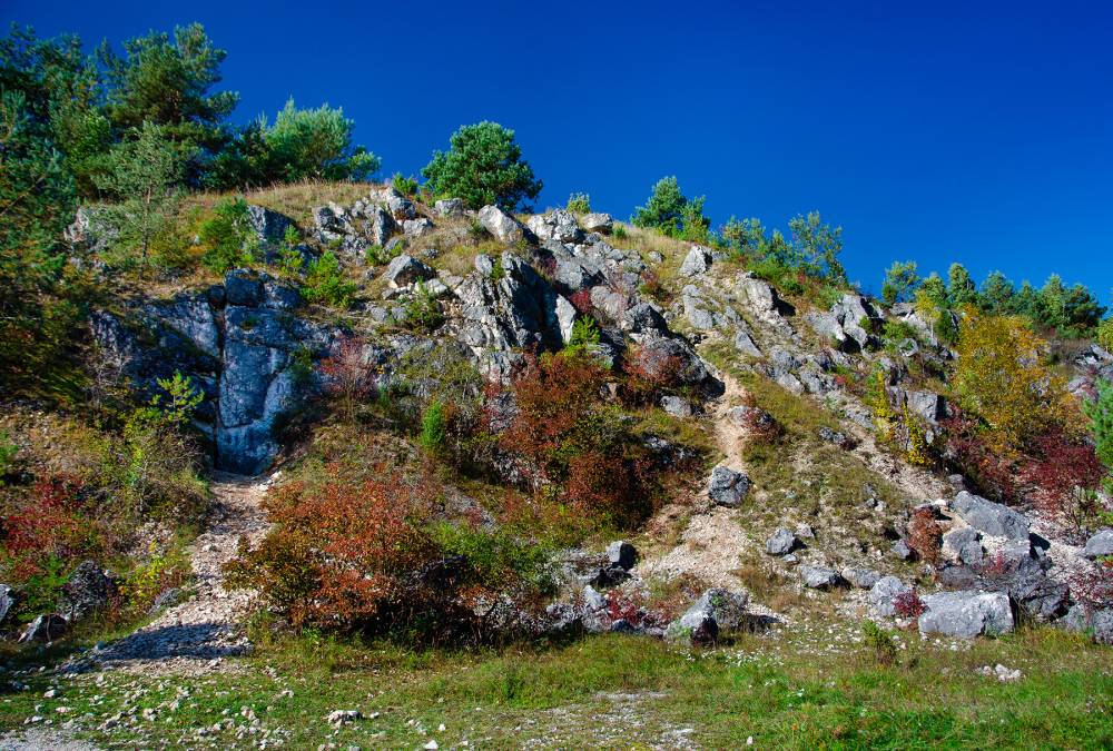 6. Kamieniołom w Kielnikach