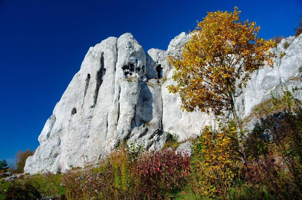 22. Turnia Lechwora w Rzędkowickich Skałach