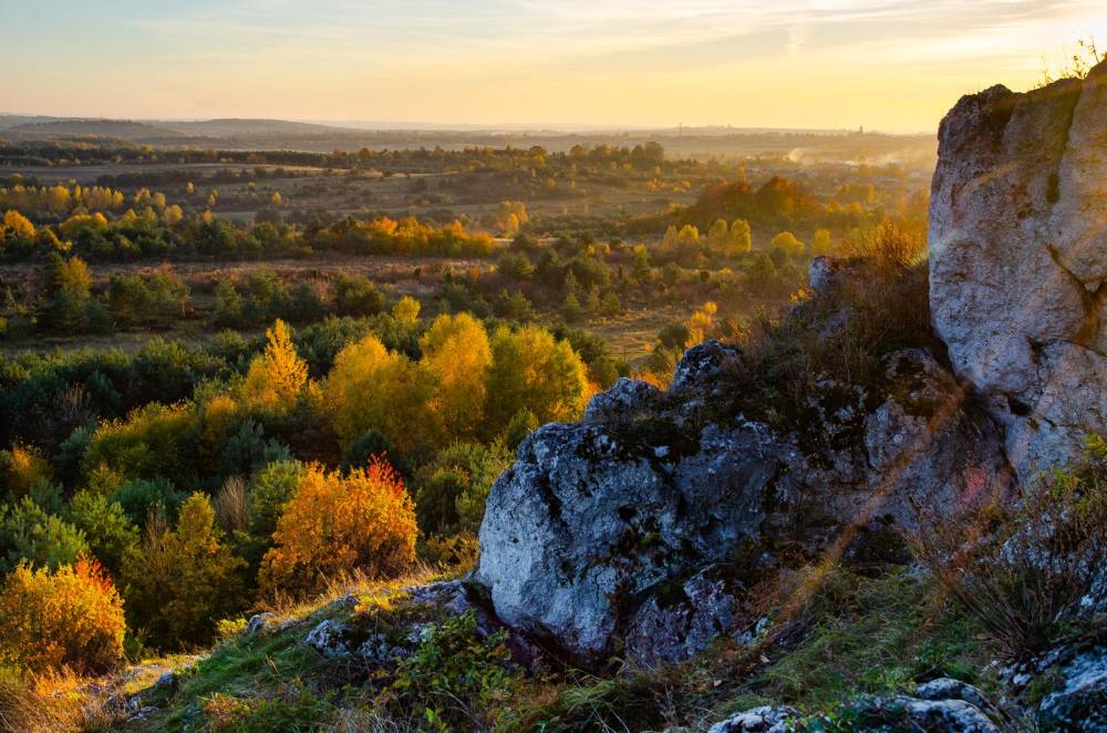 31. Panorama z Okiennika Rzędkowickiego