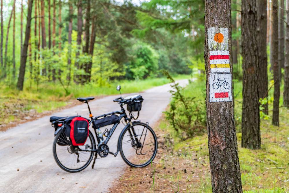 Rowerowy Szlak Orlich Gniazd