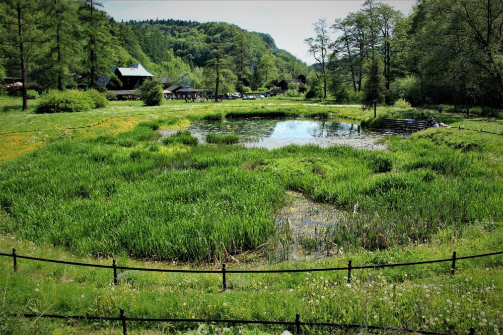 Ojcowski Park Narodowy fot. Rafał Rębisz