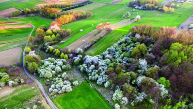 Wypad za miasto: POGRZEBIEŃ i Ścieżka dydaktyczno-przyrodnicza „BOCIEK” 