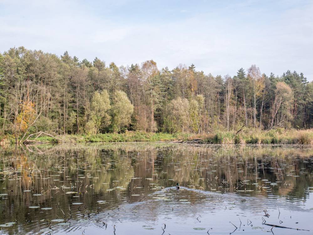 Niebieski szlak rowerowy Zawiercie - Ogrodzieniec