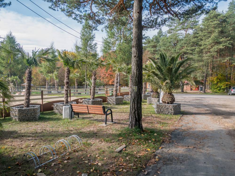 Niebieski szlak rowerowy Zawiercie - Ogrodzieniec