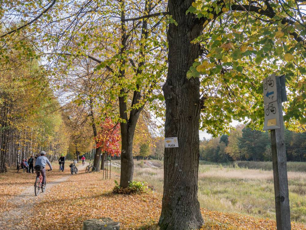 Niebieski szlak rowerowy Zawiercie - Ogrodzieniec